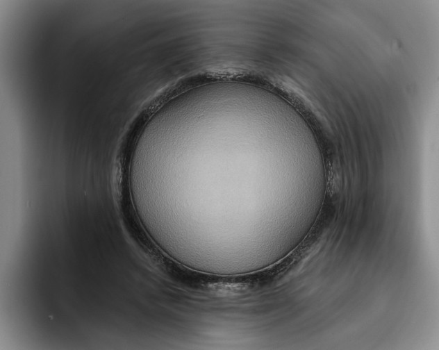 X0000091640448200709201111