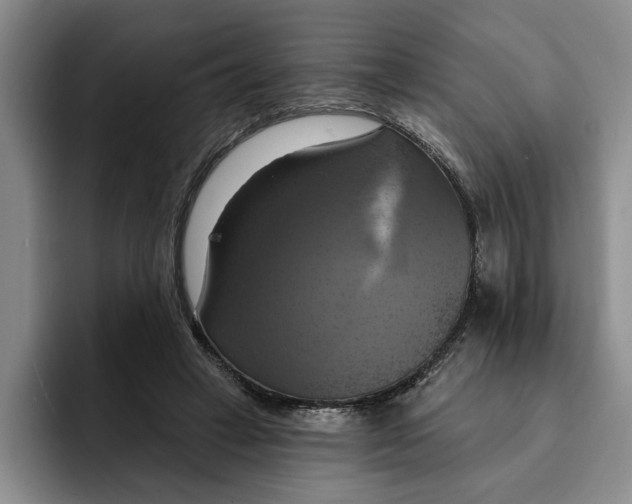 X0000091640449200709201111