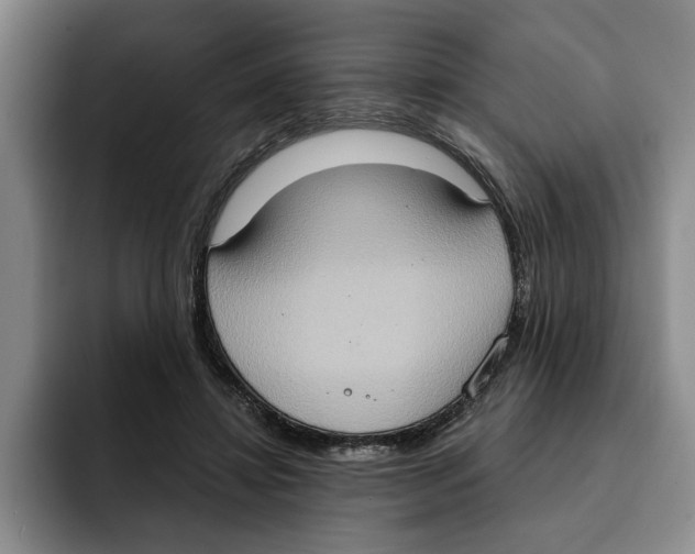 X0000091640452200709201111