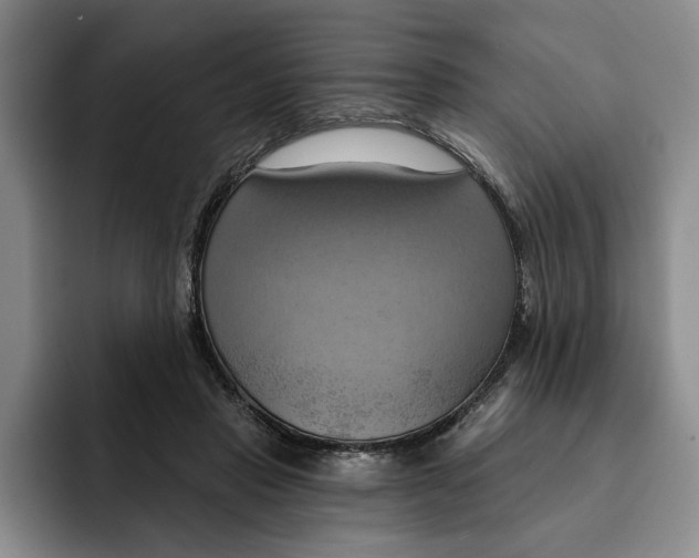 X0000091640453200709201111