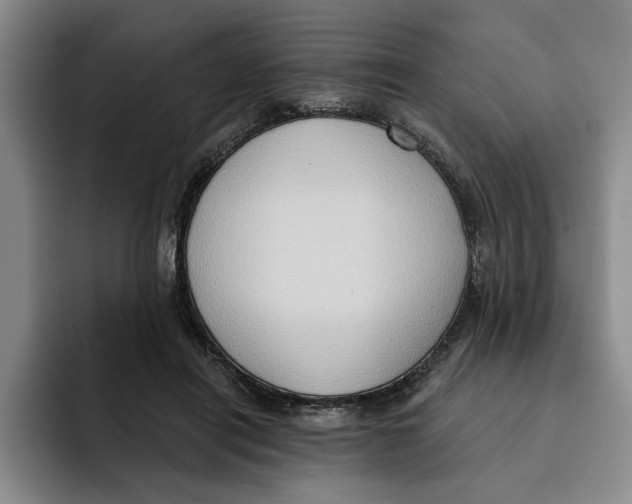 X0000091640454200709201111