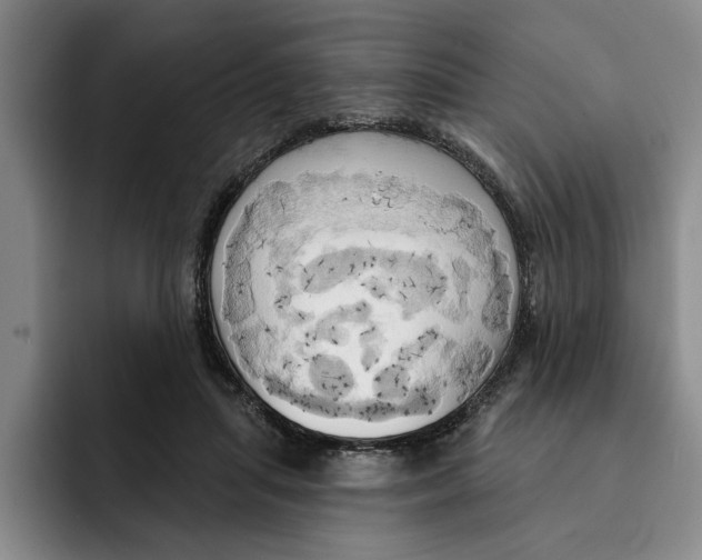 X0000091640455200709201111