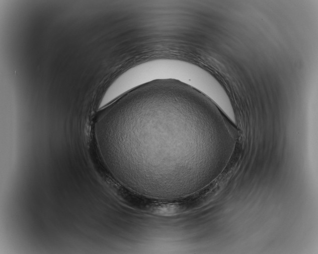 X0000091640456200709201111