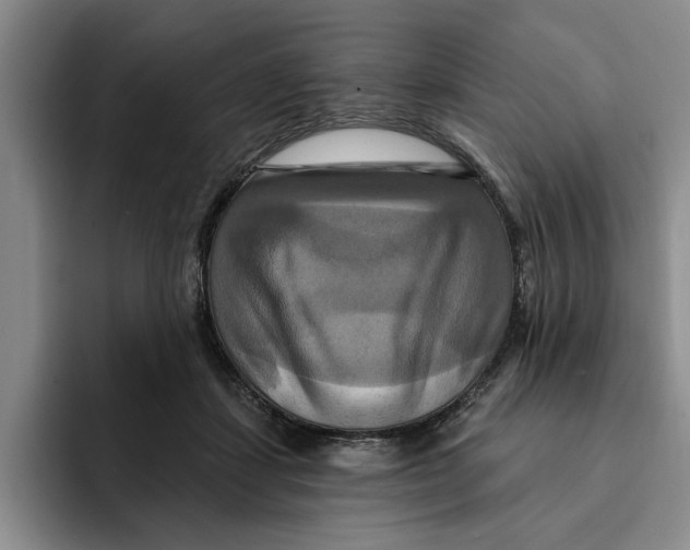 X0000091640459200709201111