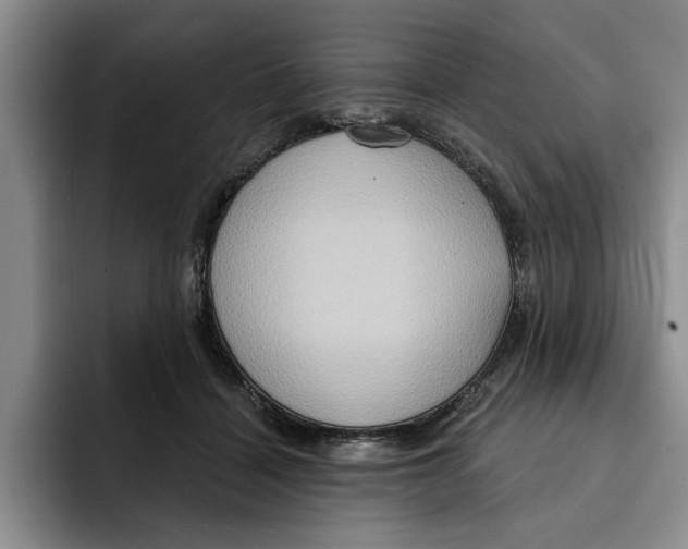 X0000091640460200709201111