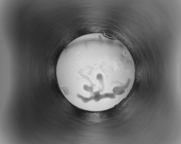 X0000091640473200709201111