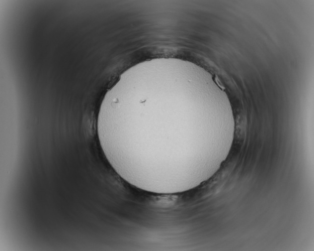 X0000091640474200709201111