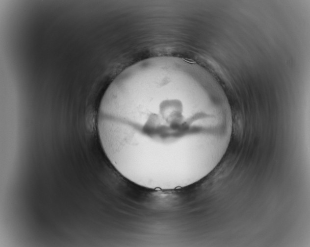 X0000091640477200709201111