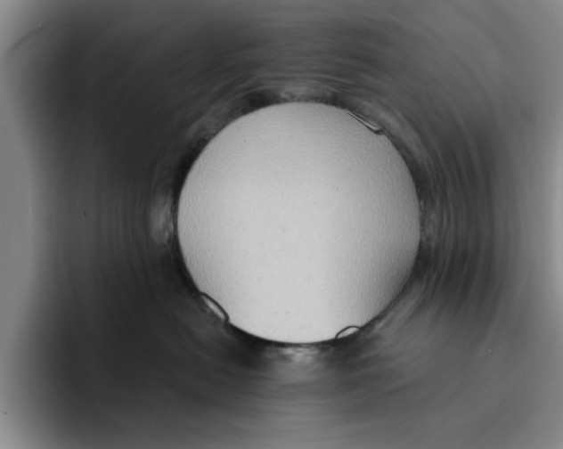 X0000091640478200709201111
