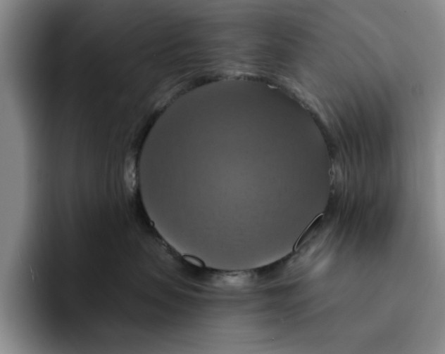 X0000091640479200709201111