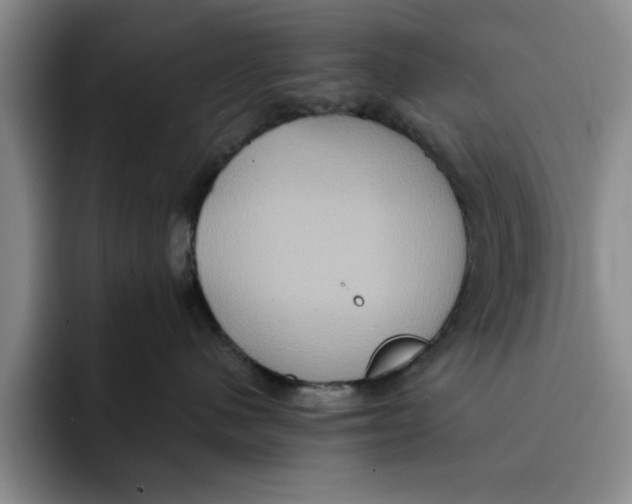 X0000091640480200709201111