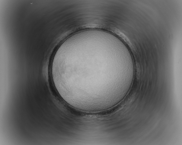 X0000091640482200709201111