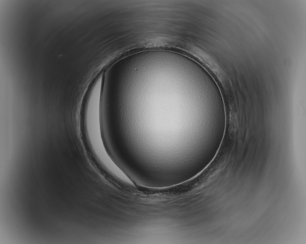 X0000091640485200709201111