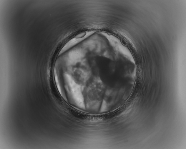 X0000091640491200709201111