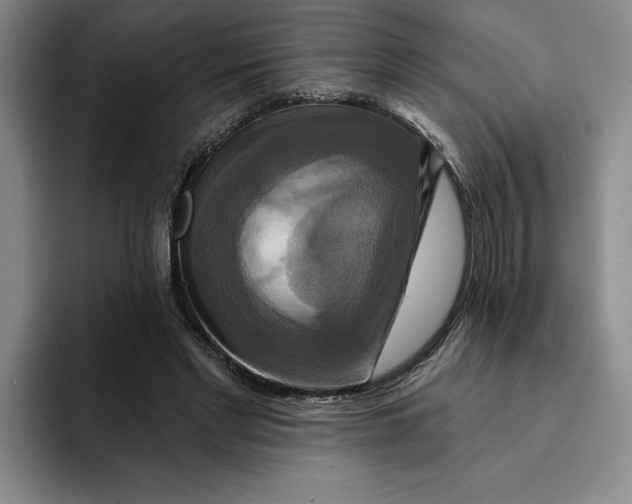 X0000091640493200709201111