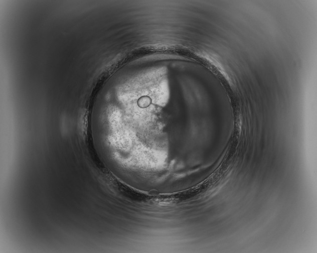 X0000091640495200709201111