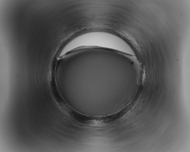 X0000091640496200709201111