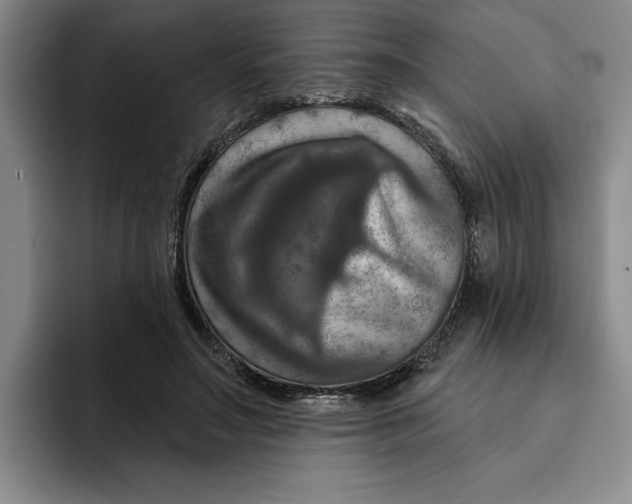 X0000091640499200709201111