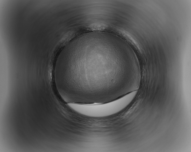 X0000091640501200709201111