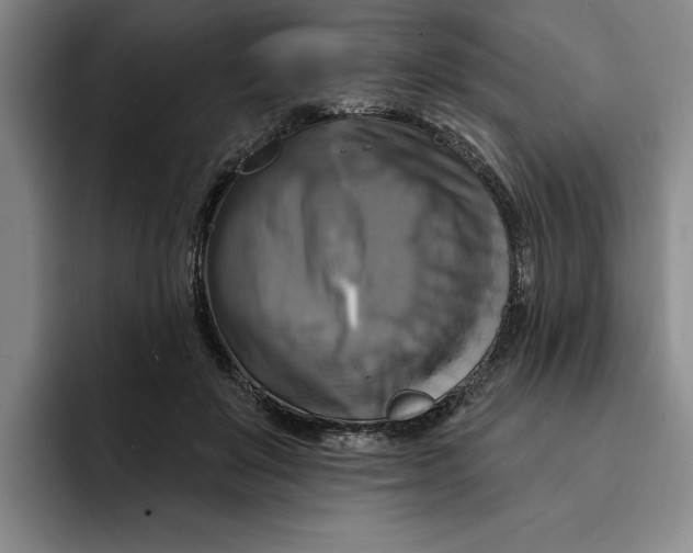 X0000091640503200709201111