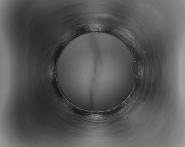 X0000091640507200709201110