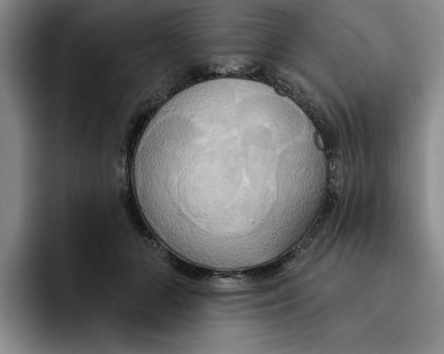 X0000091640510200709201110