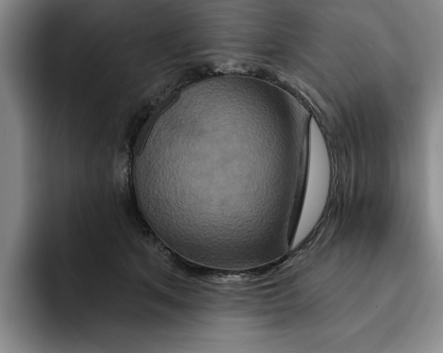X0000091640513200709201110