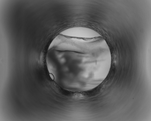 X0000091640519200709201110