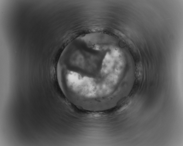X0000091640523200709201110