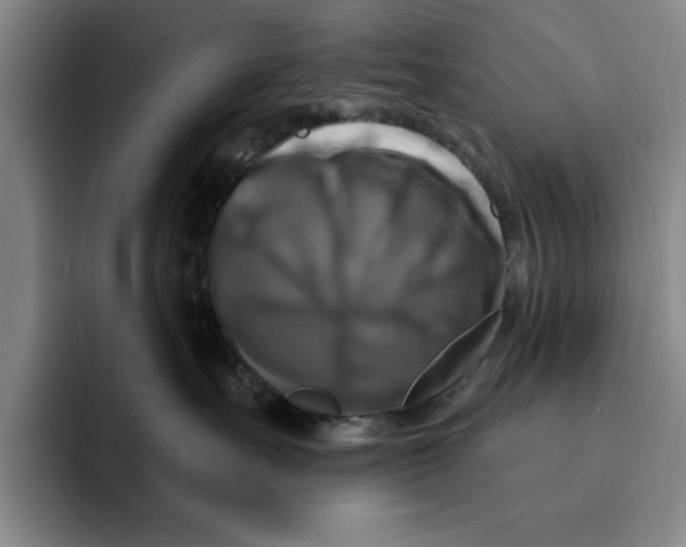 X0000091640527200709201110