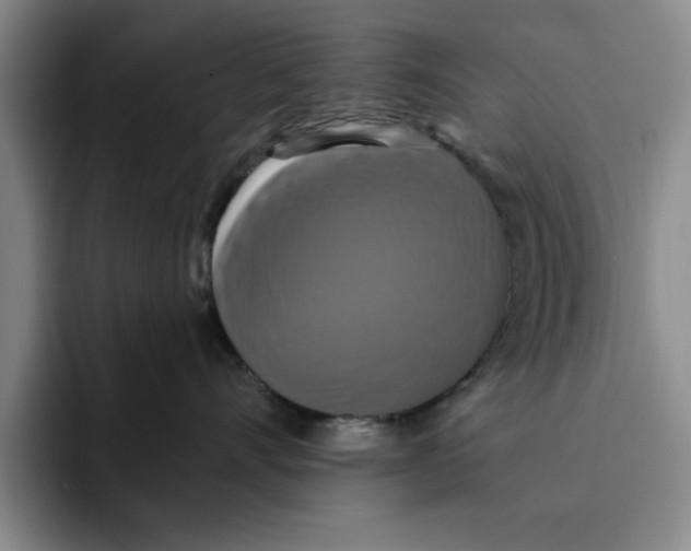 X0000091640528200709201110