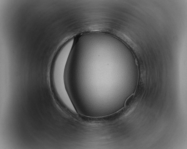 X0000091640530200709201110