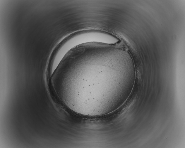 X0000091640532200709201110