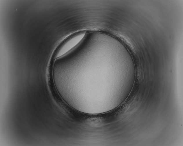 X0000091640536200709201110