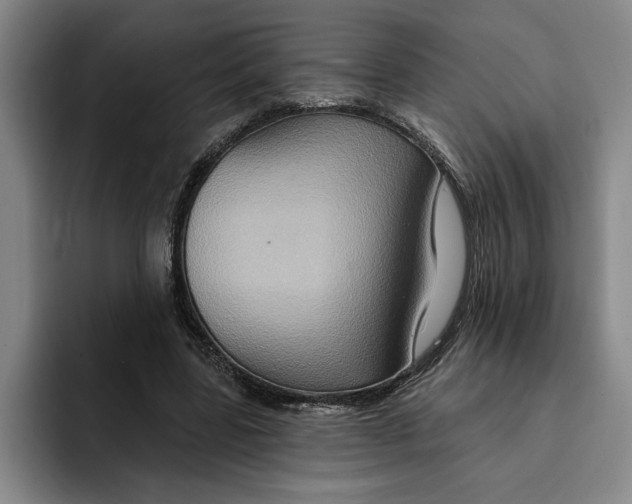 X0000091640539200709201110