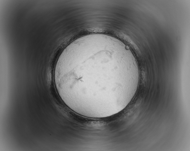 X0000091640541200709201110