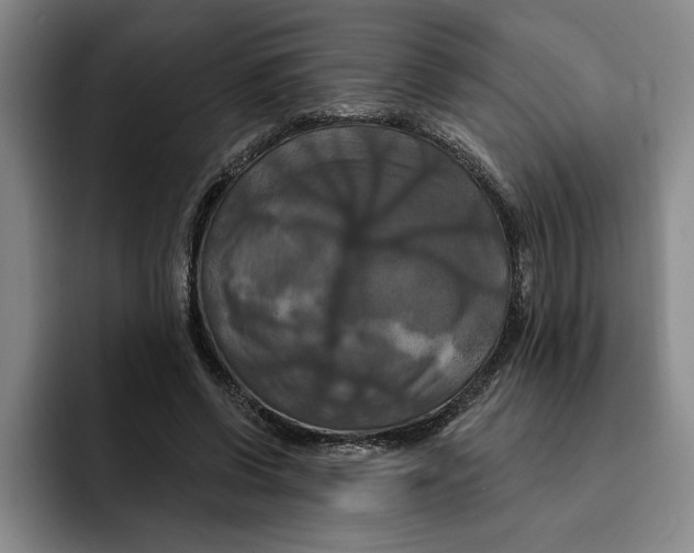 X0000091640542200709201110