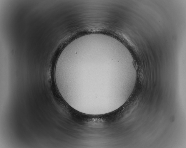 X0000091640543200709201110