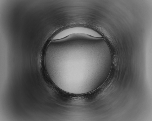 X0000091640544200709201110