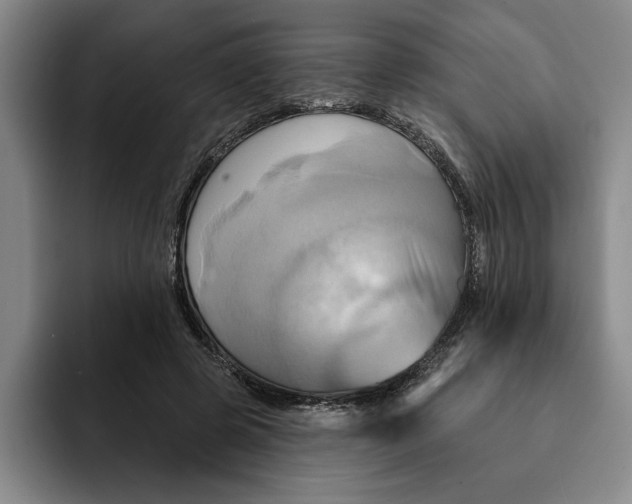 X0000091640545200709201110