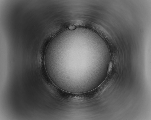 X0000091640546200709201110