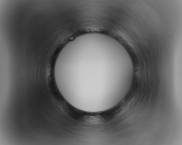 X0000091640548200709201110