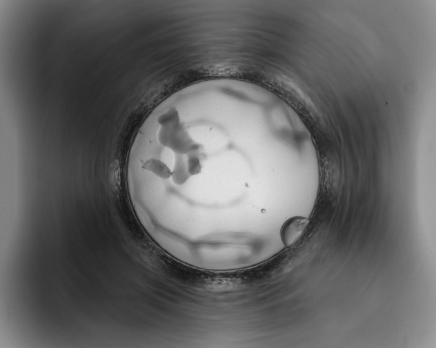X0000091640549200709201110