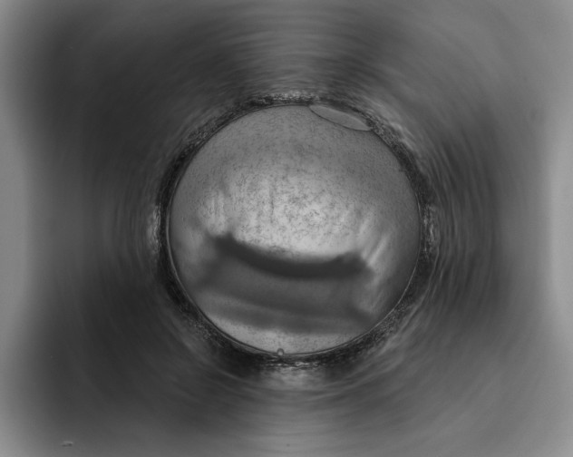 X0000091640550200709201110