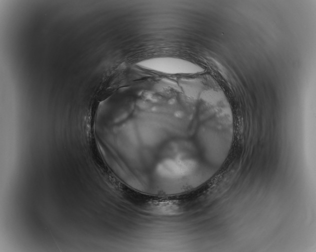X0000091640553200709201110
