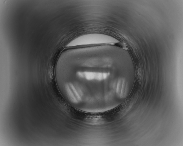 X0000091640554200709201110