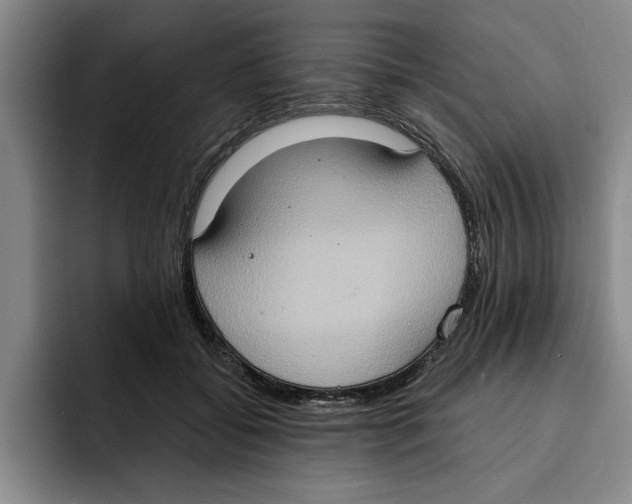X0000091640556200709201110