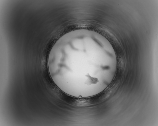 X0000091640557200709201110