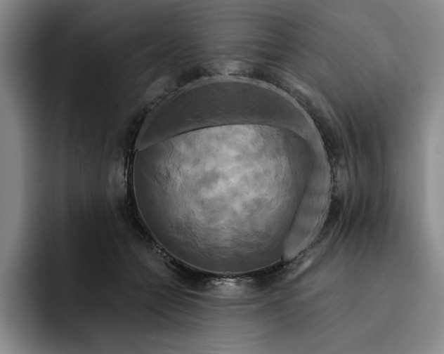 X0000091640558200709201110