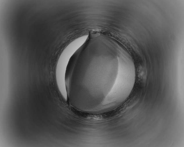 X0000091640559200709201110